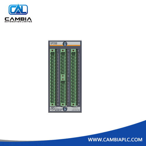 Bachmann BS206 module