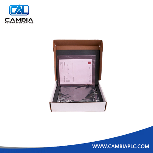 ICS Triplex T8311 Module