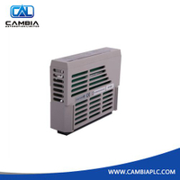 1C31125G01 | Ovation | MODULE DIGITAL OUTPUT